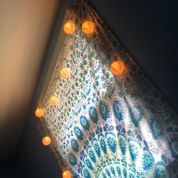 Meet your Posher, Hope - Picture 1 of 1